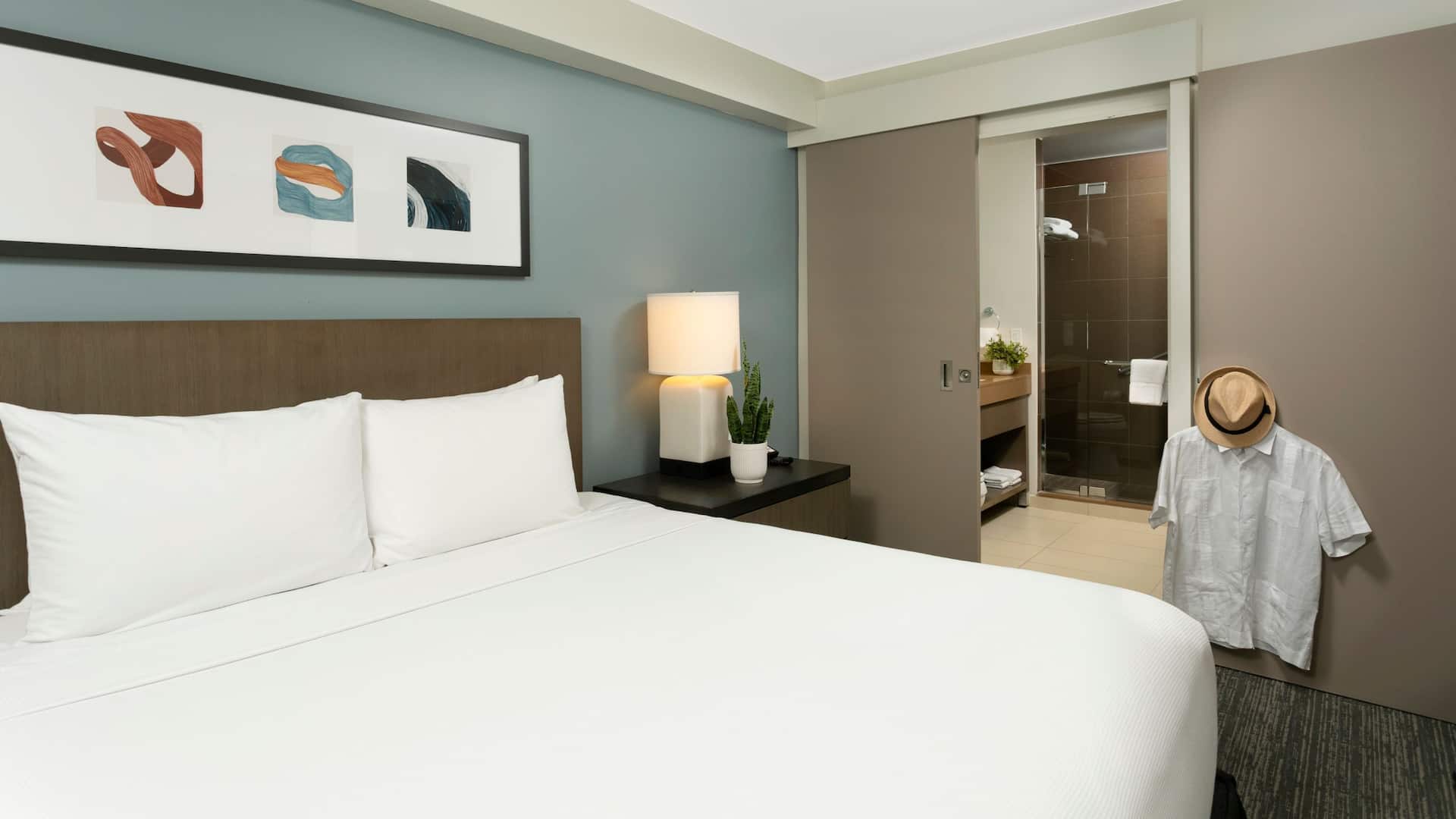 第 3，共 5 Hyatt House San Juan One Bedroom King Bed