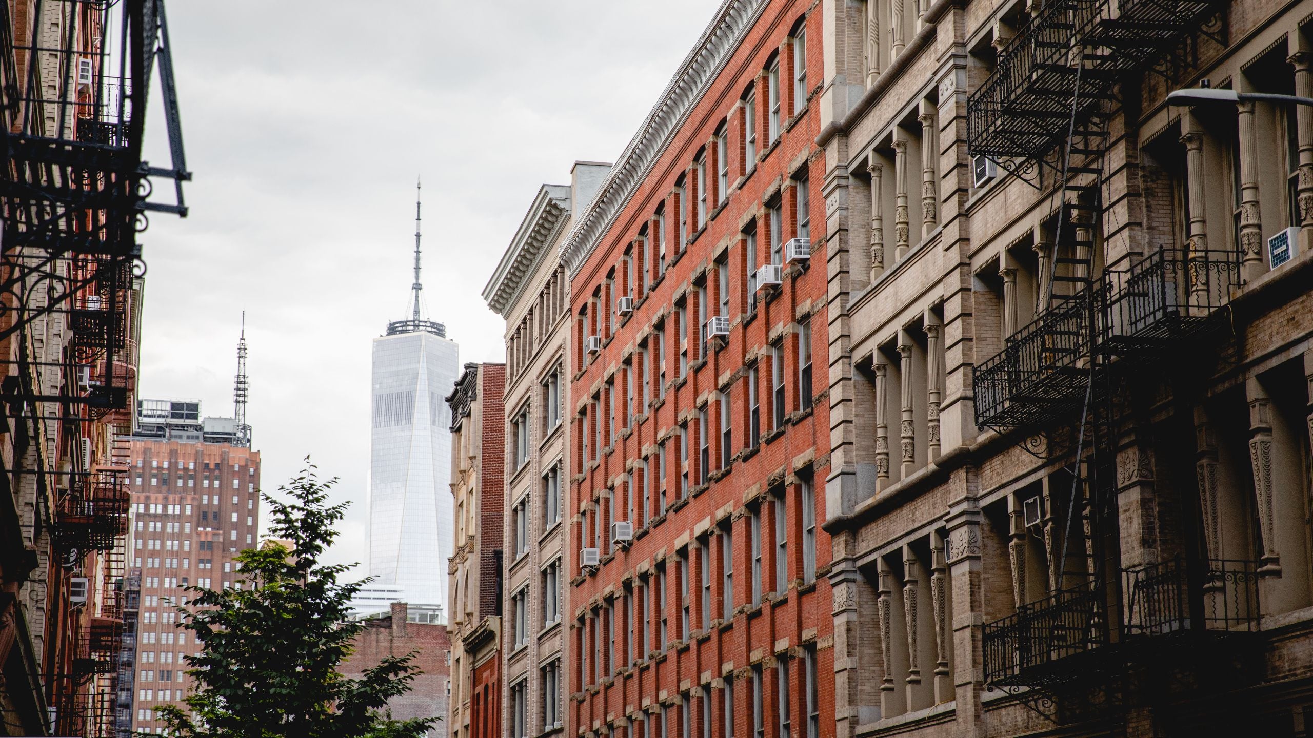 Hotel 50 Bowery Skyline from Street