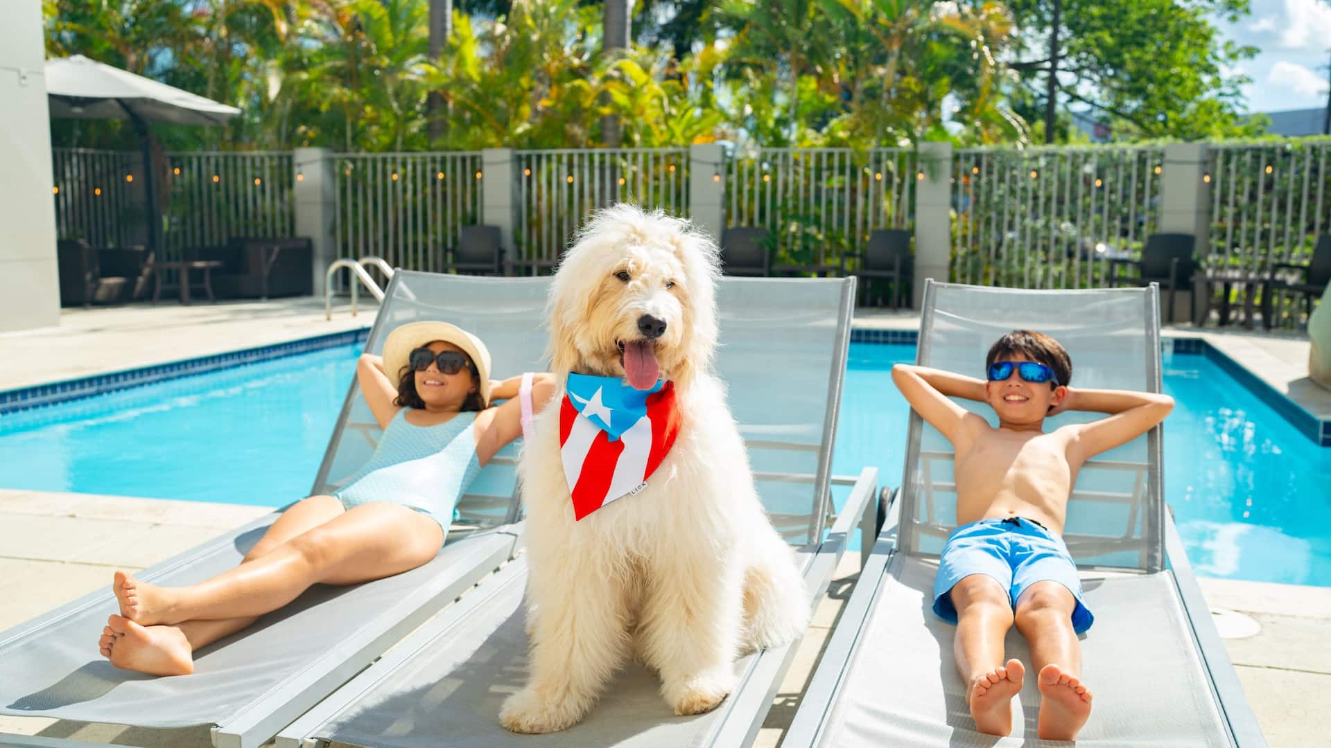Hyatt Place Bayamón Kids Enjoying The Pool With Dog