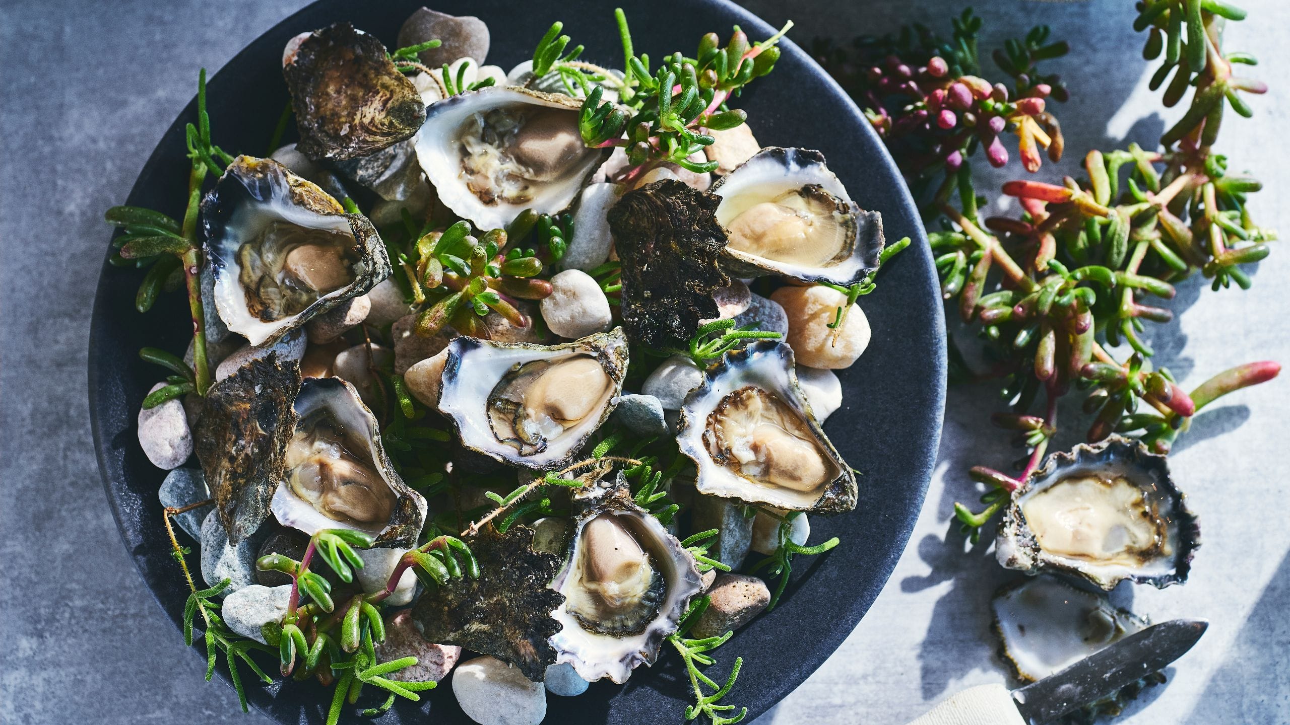 Park Hyatt SYDPH_PxxxxThe Dining Room Oysters Spread