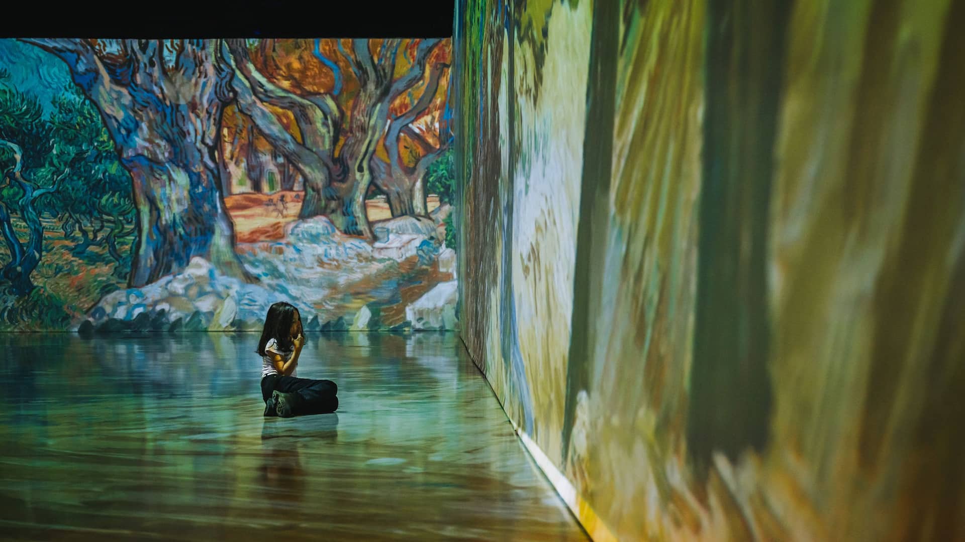 Hyatt Regency Green Bay Van Gough Experience Child