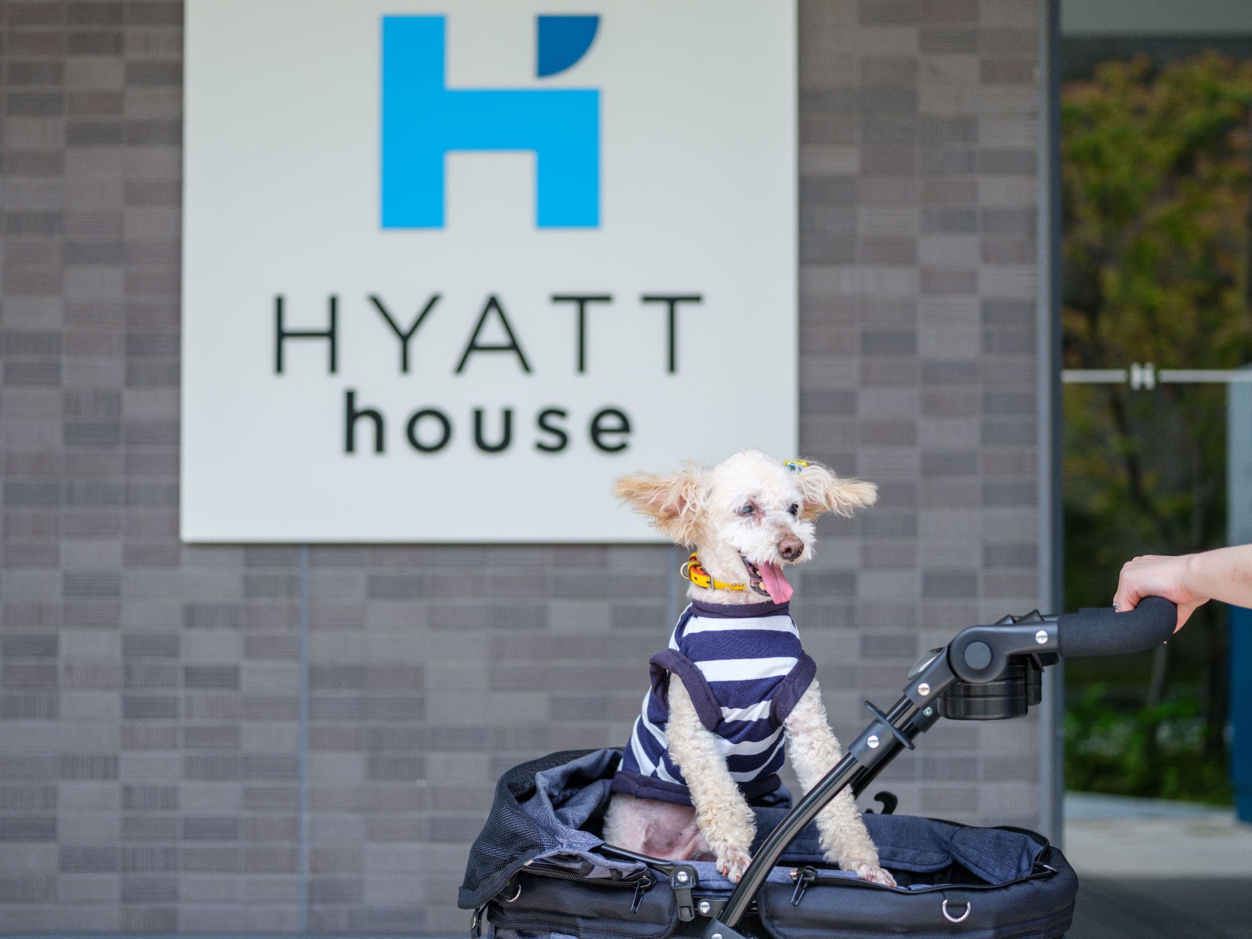 Hyatt House Kanazawa Dog Friendly Entrance Focus
