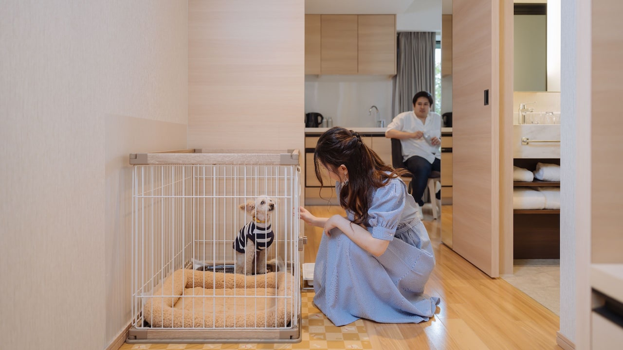 Dog Friendly Room at Hyatt House Kanazawa