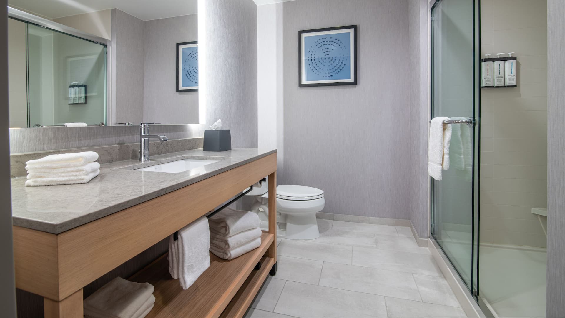 6/6 Hyatt Place Newark / Silicon Valley Bathroom Shower
