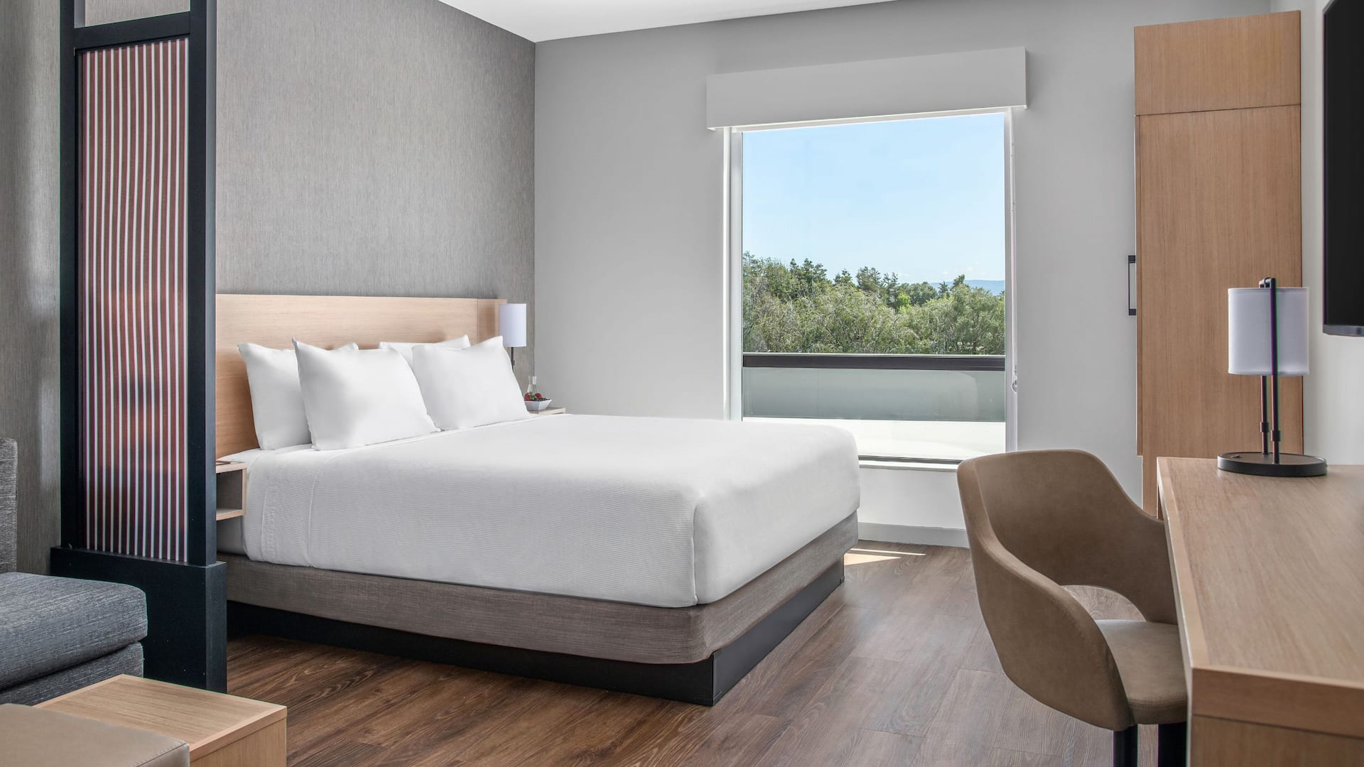 Hyatt Place Newark / Silicon Valley King Room View