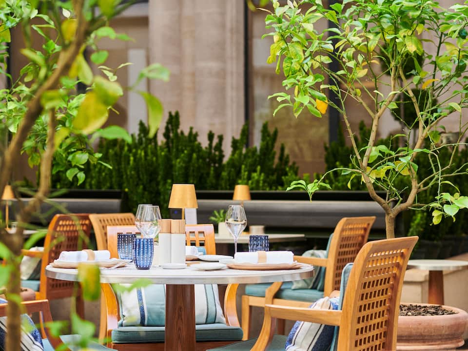 La Terrasse du Park Hyatt Paris-Vendôme
