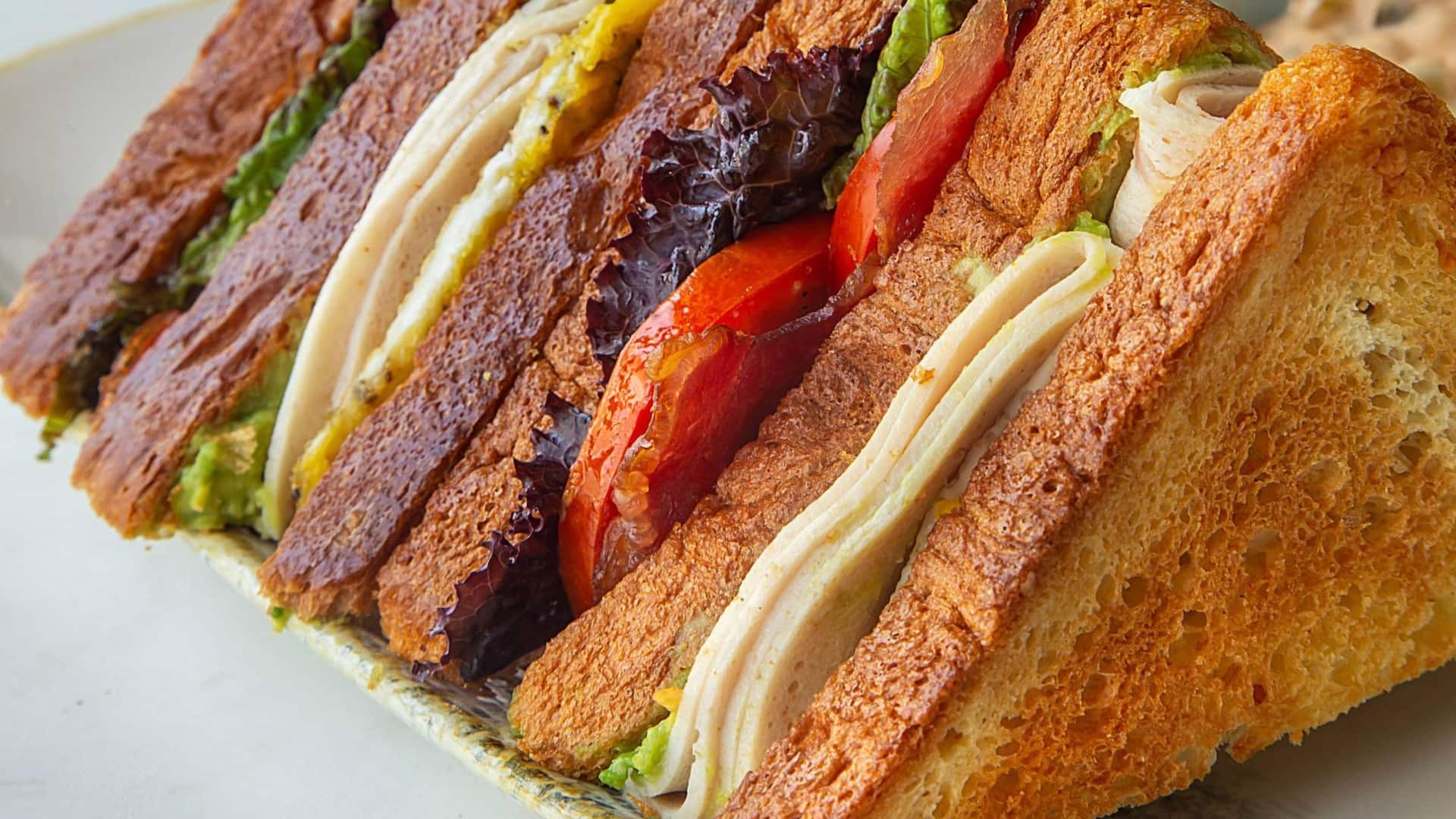 Hyatt Regency Jaipur Mansarovar Classic Clubhouse Sandwich