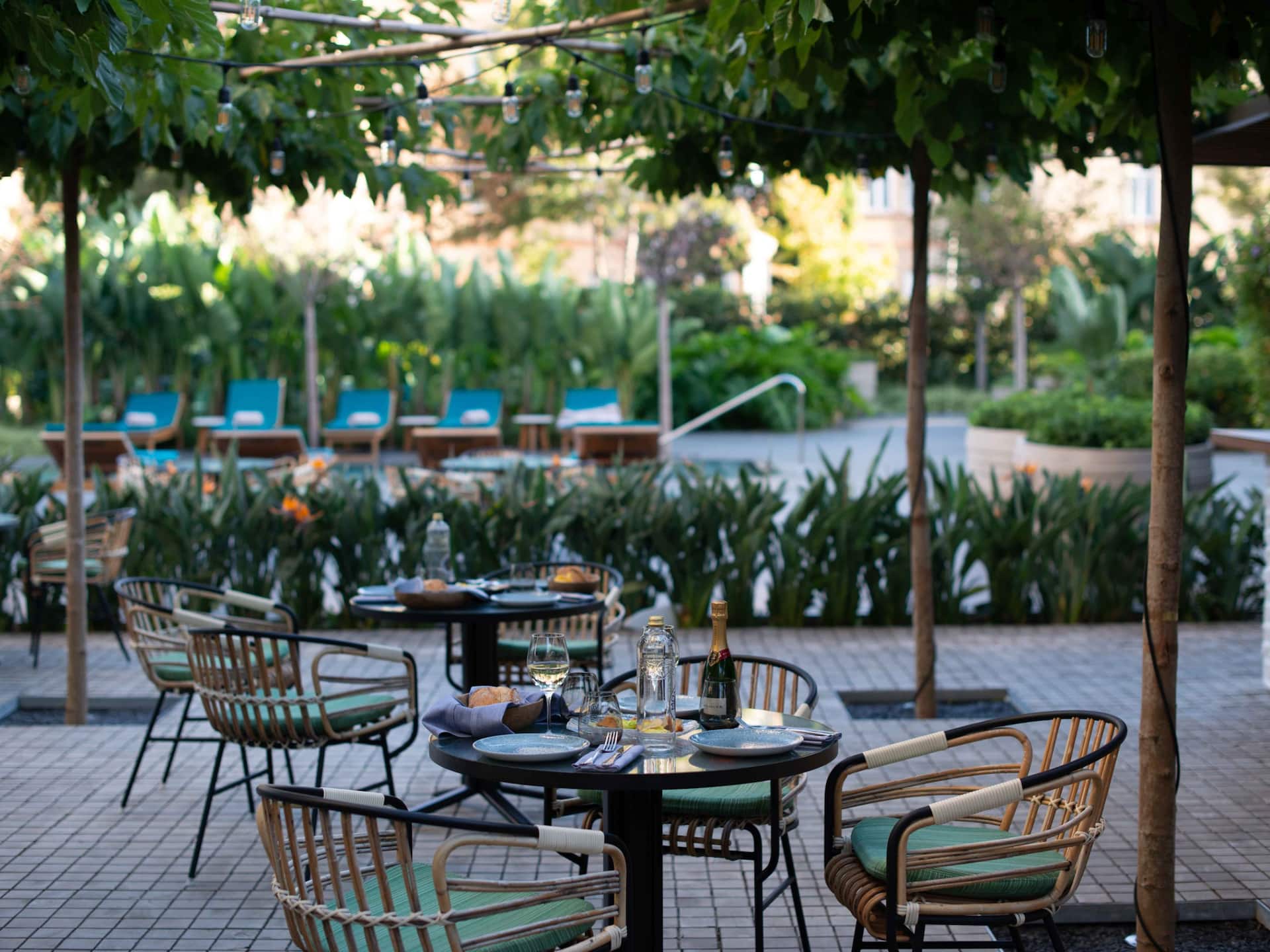 Outdoor dining area with tables set for a culinary experience, surrounded by lush greenery and a pool in the background.
