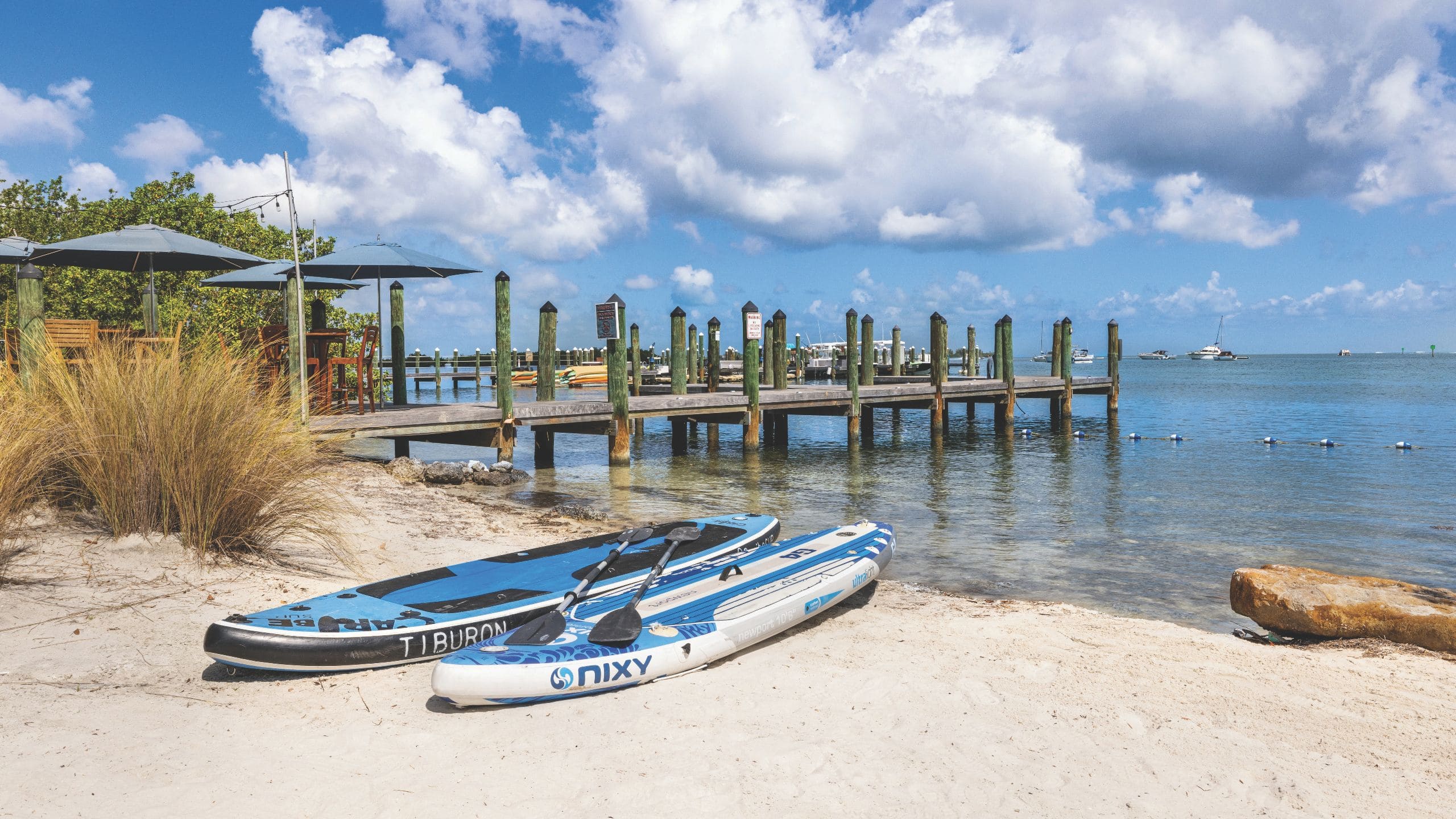 Hyatt Vacation Club at Beach House, Key West Kayaks