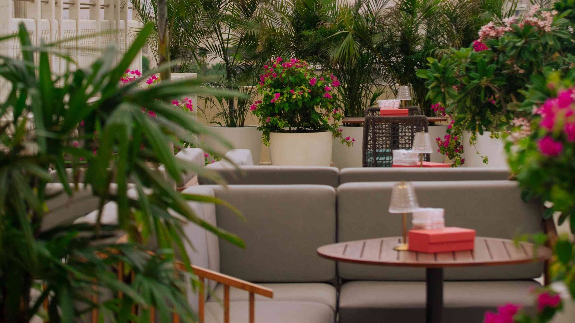Hyatt Regency Jaipur Mansarovar The Pink Bar