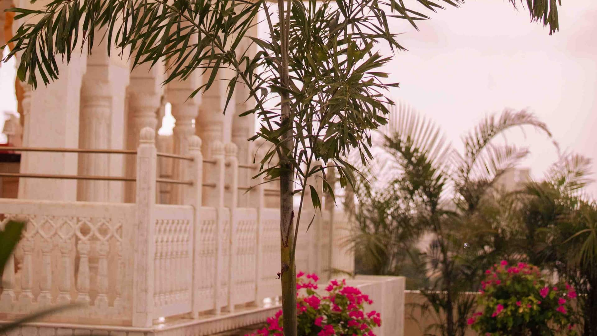 Hyatt Regency Jaipur Mansarovar The Pink Bar Sunset