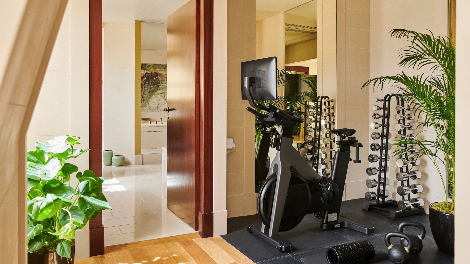 Salle de sport at at l'Appartement at Park Hyatt Paris - Vendôme