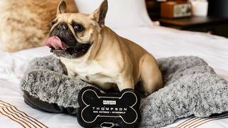 Thompson Pet Package