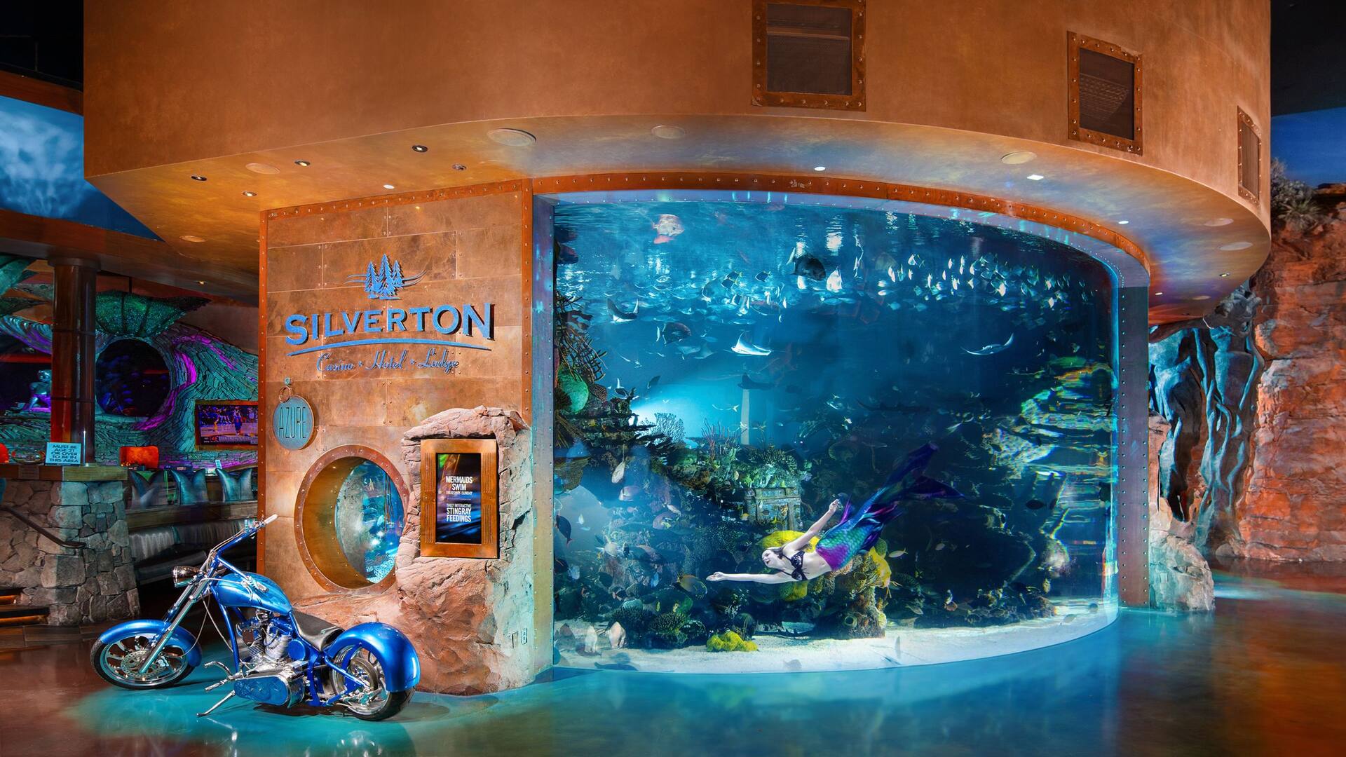 Hyatt Place Las Vegas at Silverton Village Silverton Aquarium