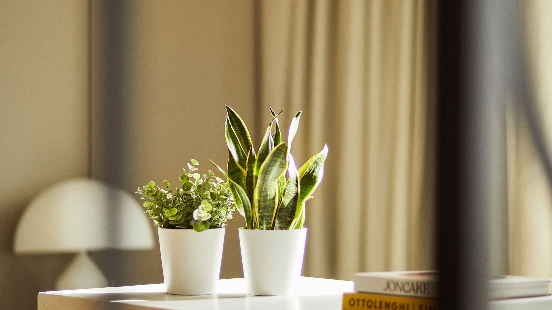 Grand Hyatt Barcelona Iconic Suite Details Plants