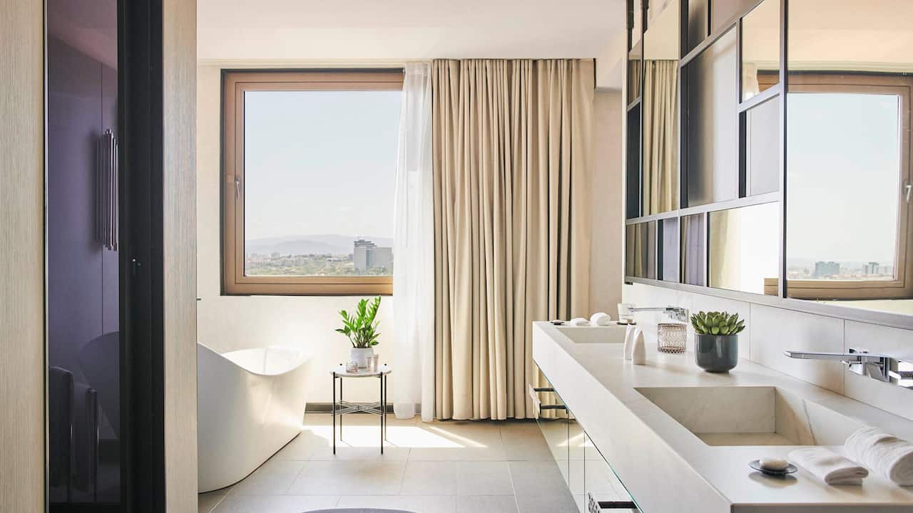 Grand Suite Bathroom Sink