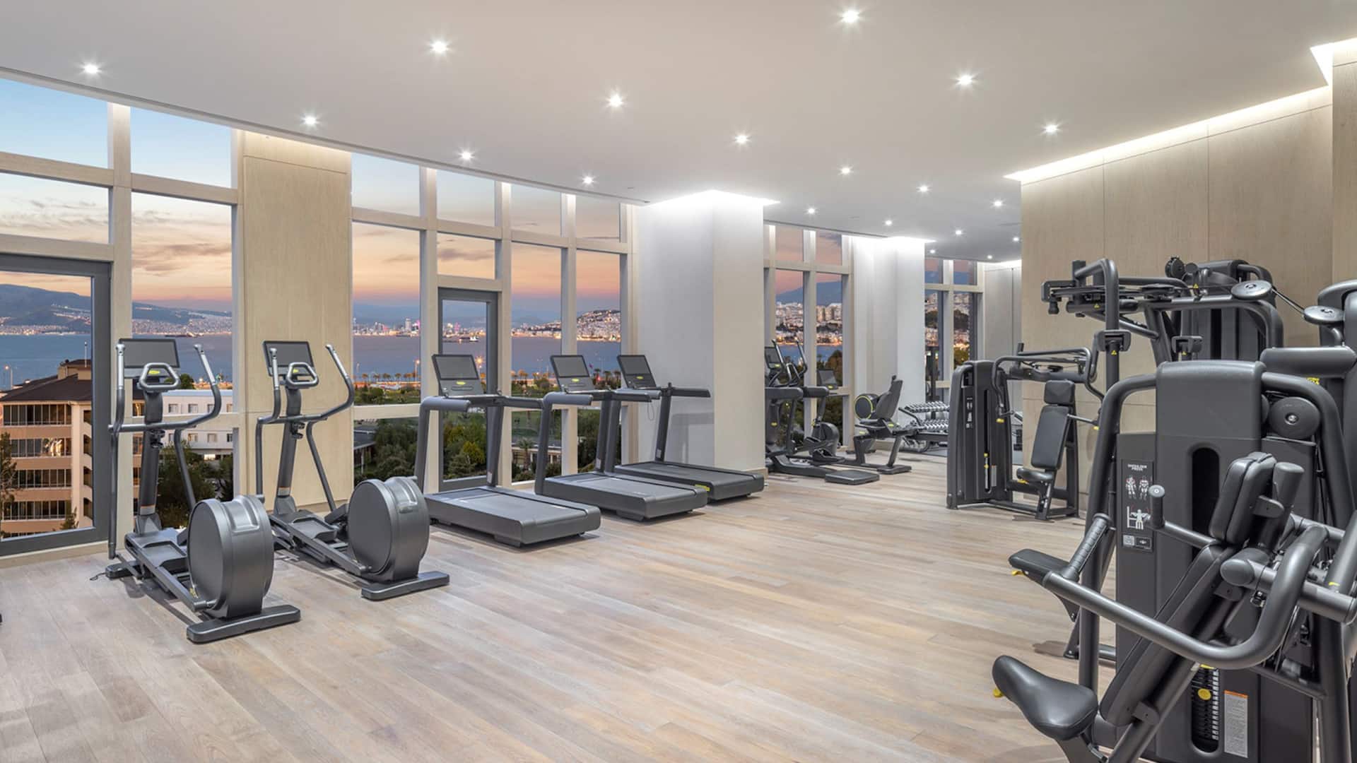 Hyatt Regency İzmir İstinyePark Gym Equipment