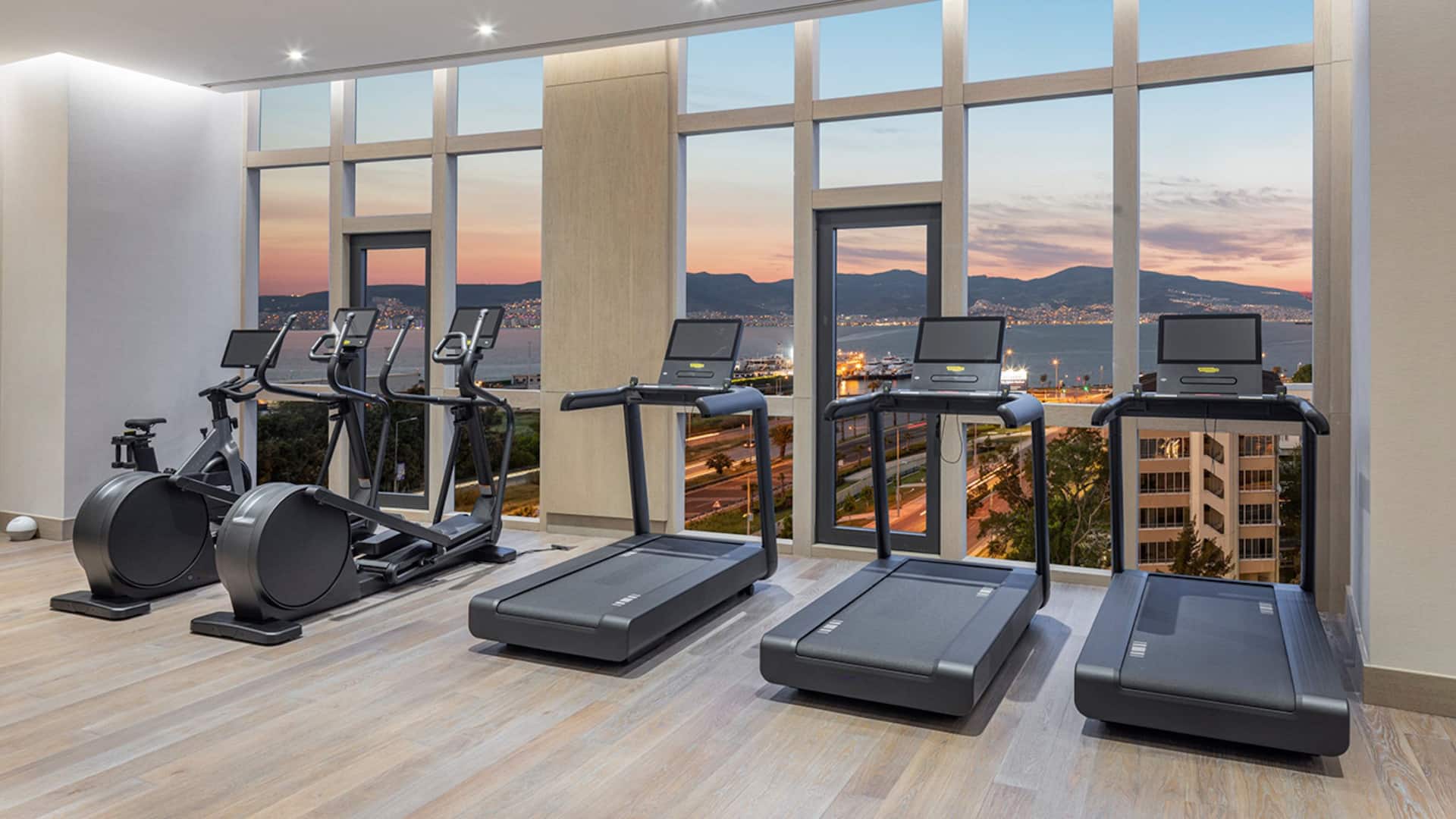 Hyatt Regency İzmir İstinyePark Gym With View