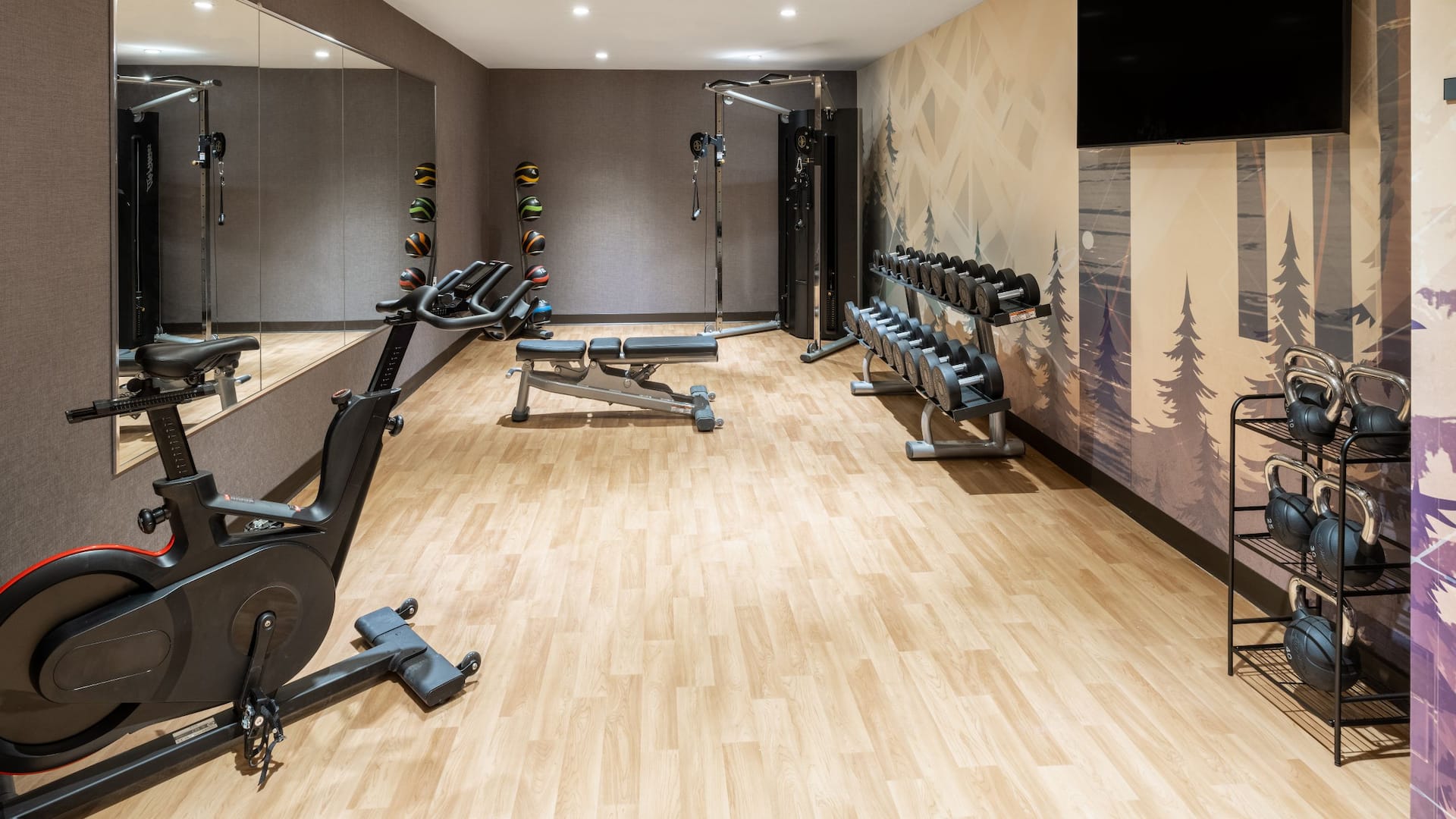 Hyatt House Colorado Springs Airport Fitness Center Weights
