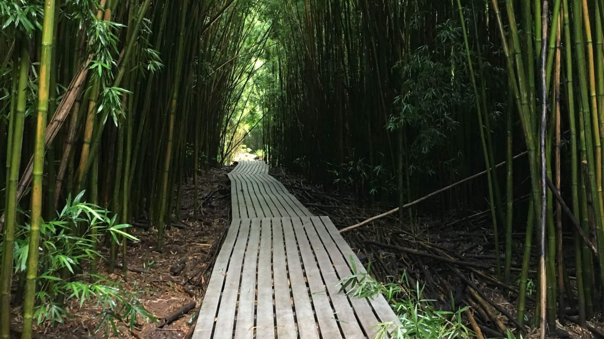 Hyatt Regency Maui Resort and Spa Pipiwai Trail