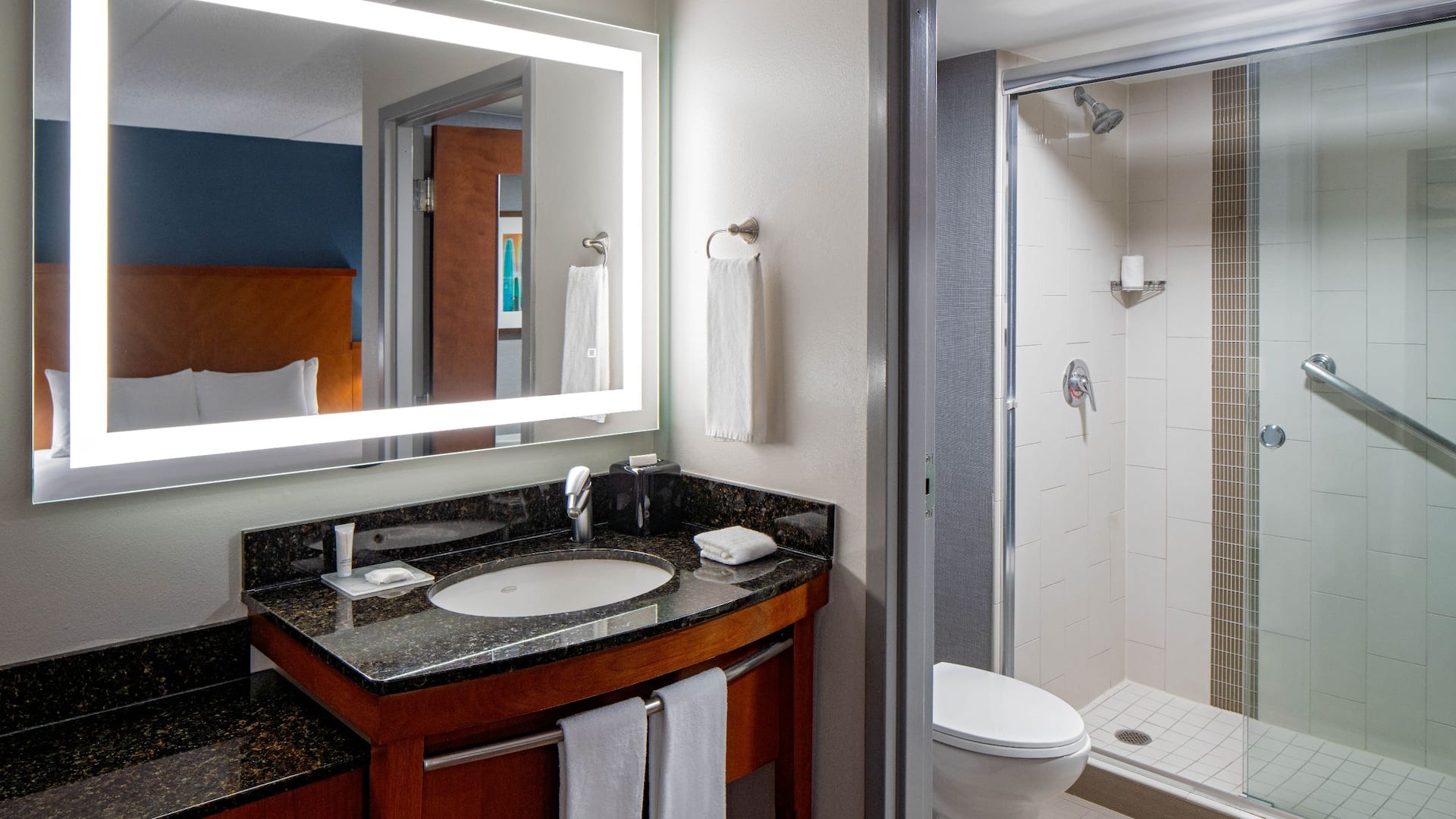 3/4 Hyatt Place Standard Bath