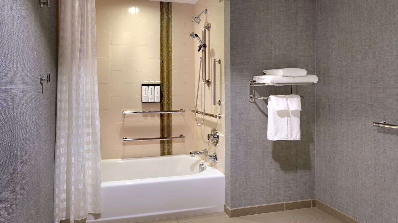 Accessible King Bathroom Shower Bathtub
