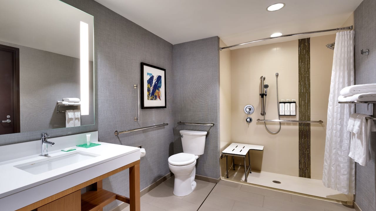 Accessible King Suite Bathroom Shower