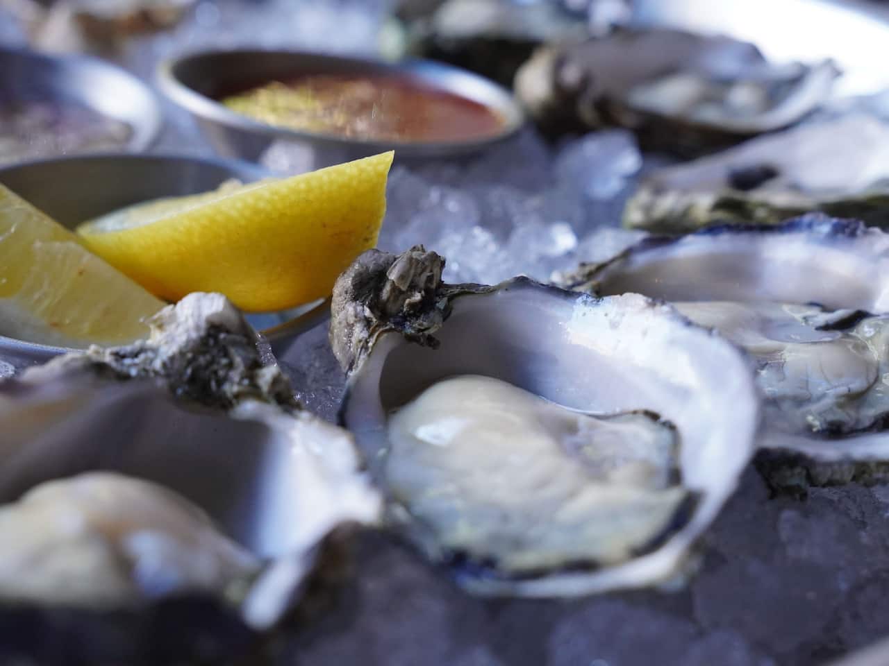 Fresh Oysters