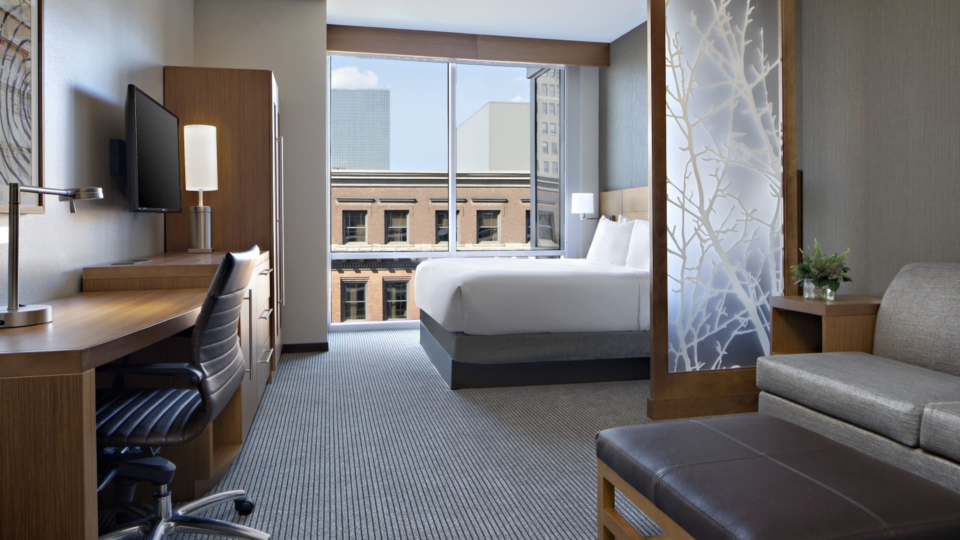 Hyatt Place Grand Rapids/Downtown King City View