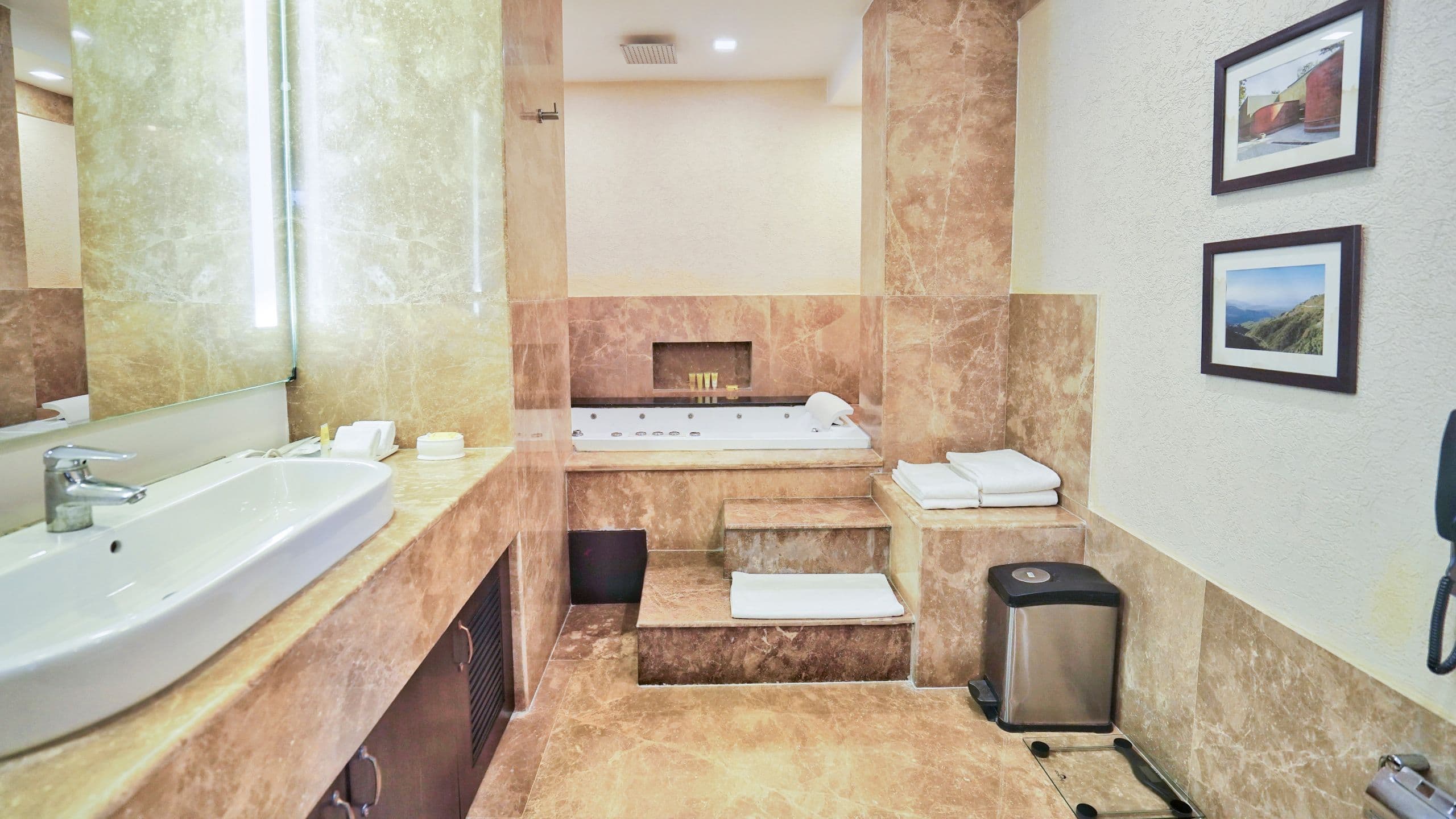 第 3，共 3 Hyatt Centric Rajpur Road Dehradun Centric Suite With Balcony Bathroom
