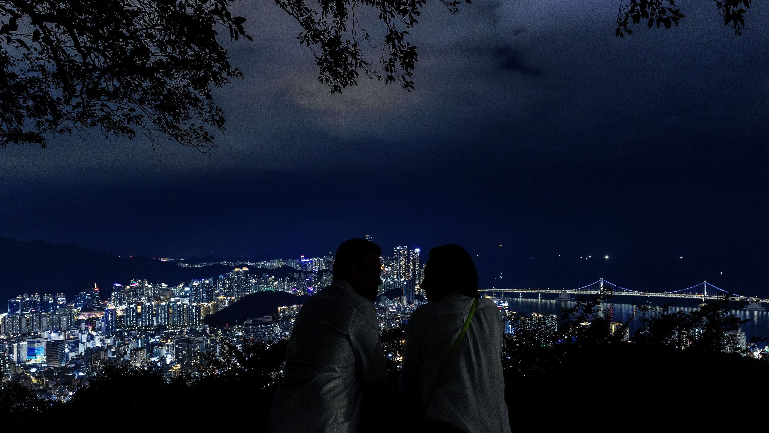 Park Hyatt Busan Busph Culture At The Park Hwangnyeongsan