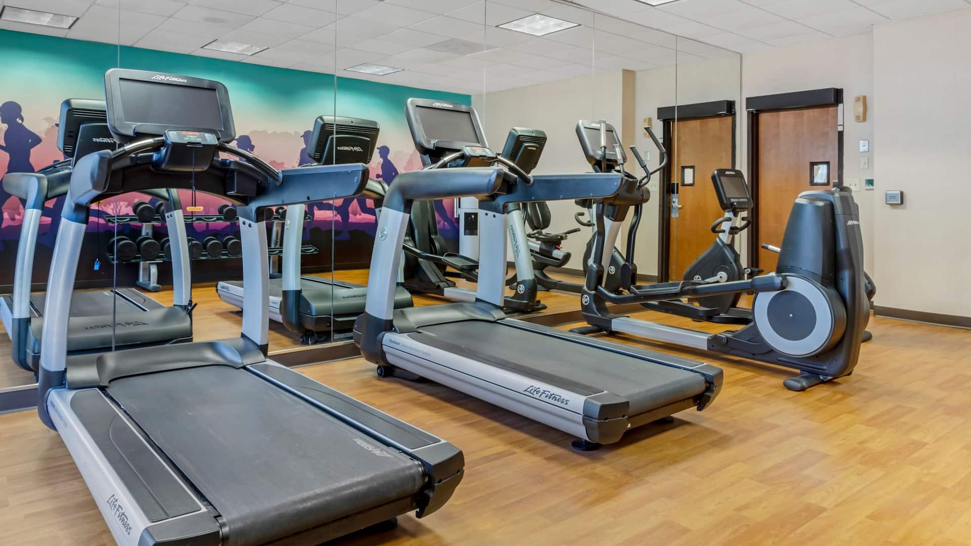 Hyatt Place Houston-North Gym Treadmill