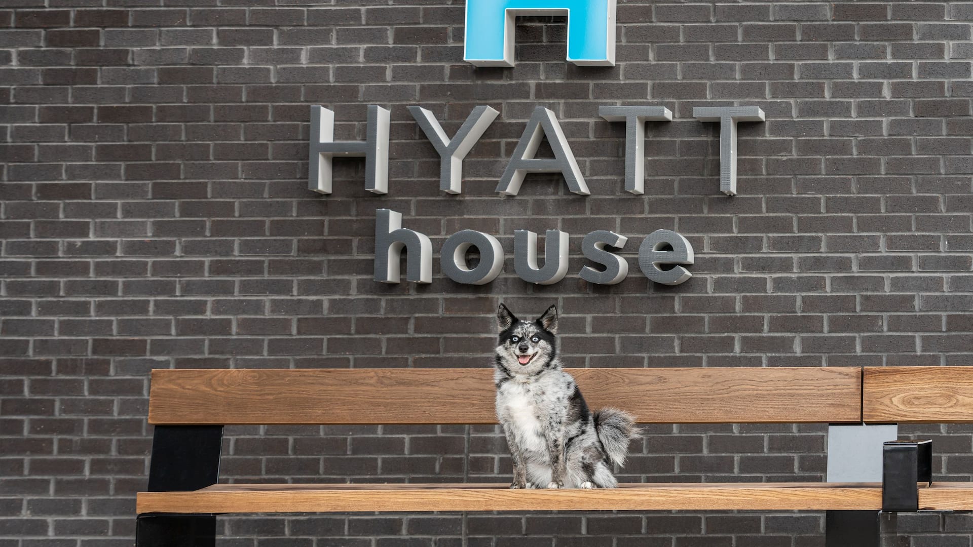 Hyatt House Lansing / University Area Pet Friendly Hotel Signage