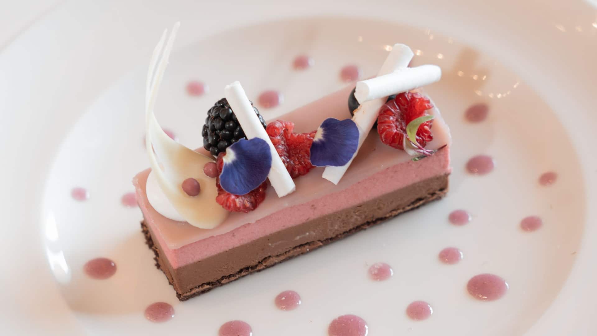 Hyatt Regency Andares Guadalajara Banquets Chocolate And Raspberry Mousse