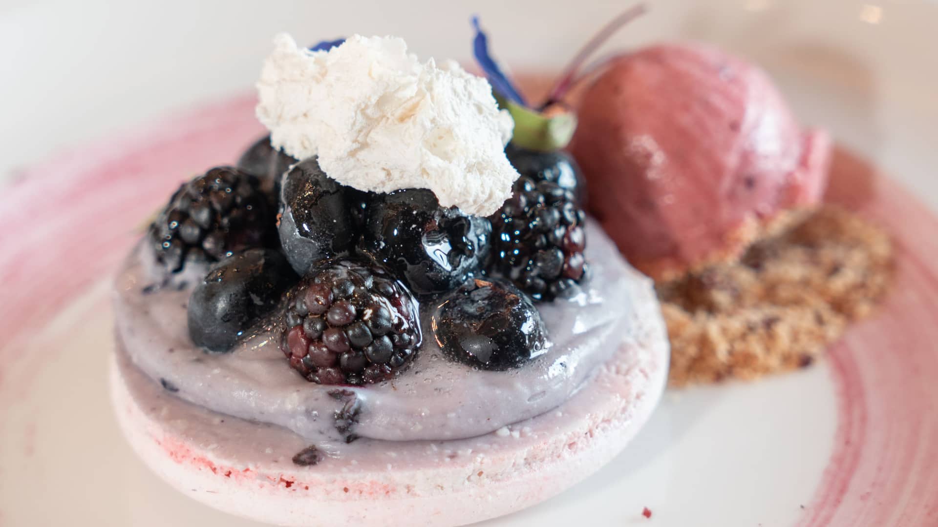 Hyatt Regency Andares Guadalajara Banquets Berries Macaron