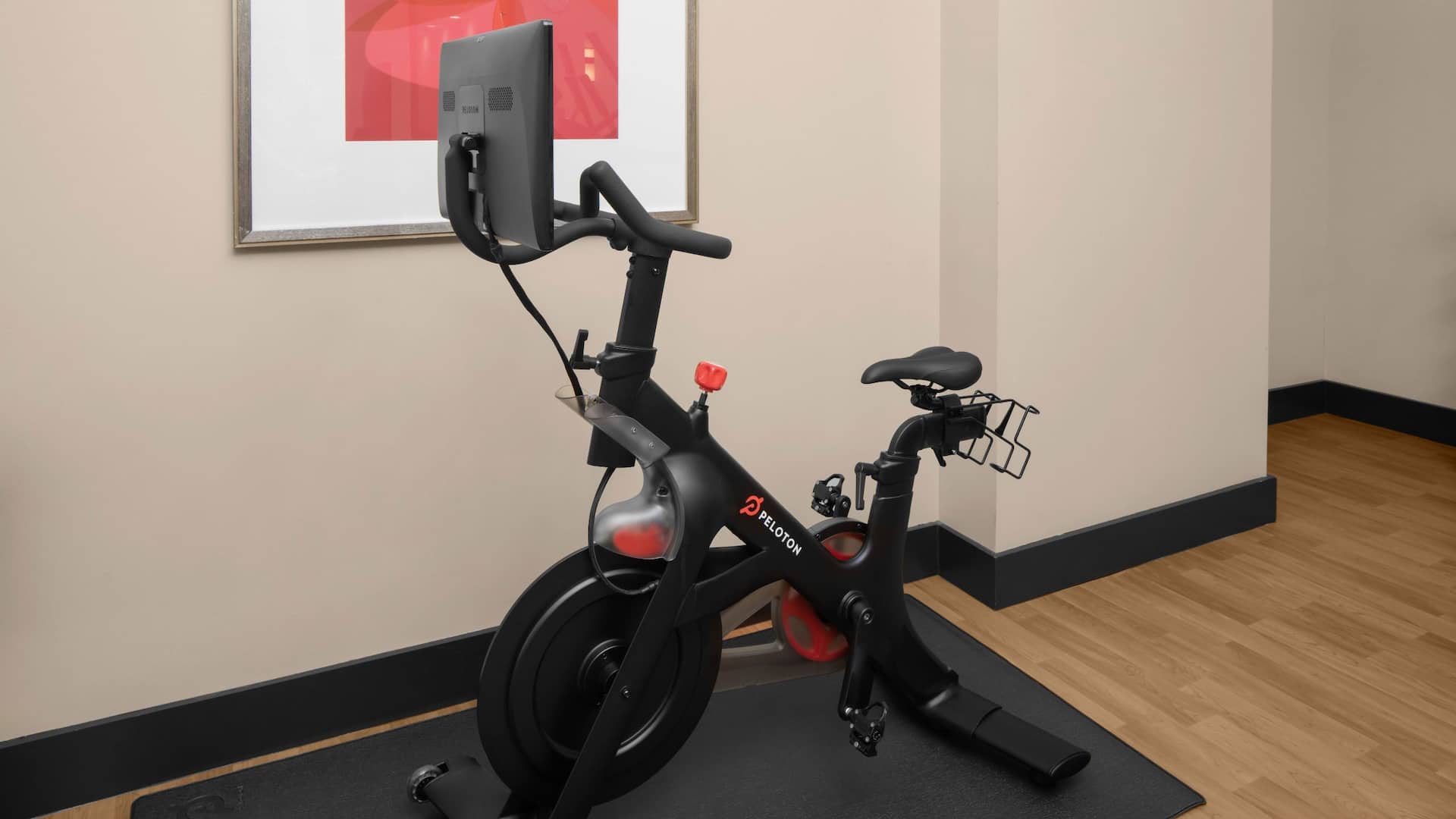 Hyatt Place Herndon/Dulles Airport-East Fitness Center Bike