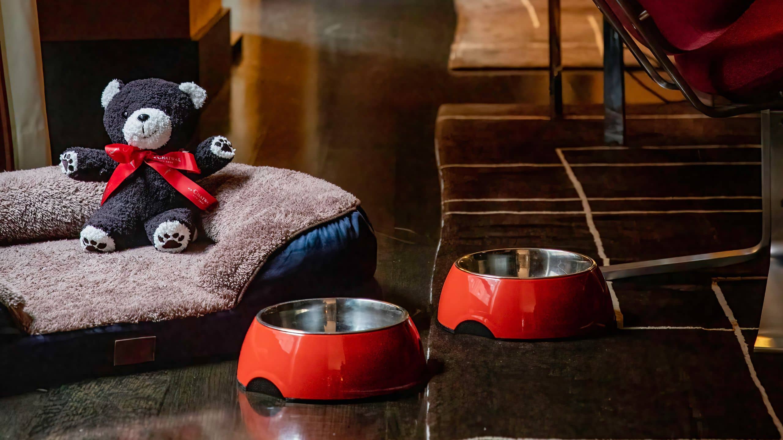 The Chatwal The Chatwal Pet Friendly Vertical