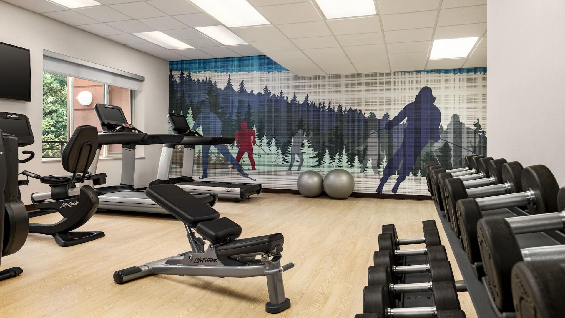 Hyatt Place Keystone / Dillon Fitness Center Wall Art