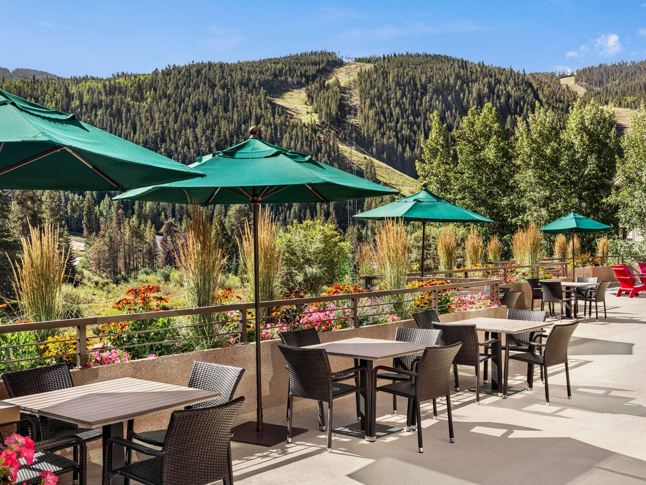 Outdoor Dining Mountain View