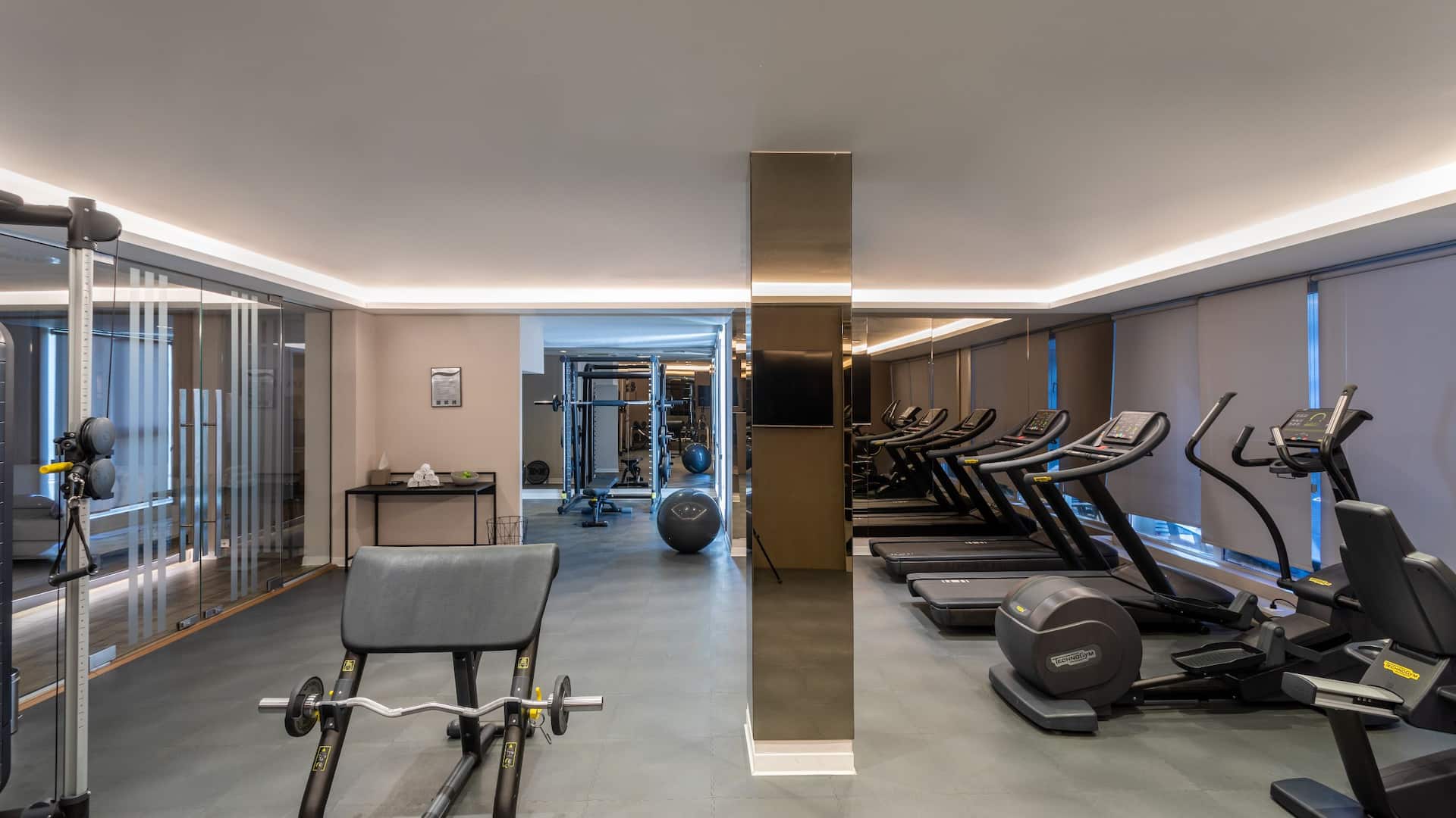 Hyatt Regency Kotor Bay Resort Spa Soul Fitness Center Treadmills
