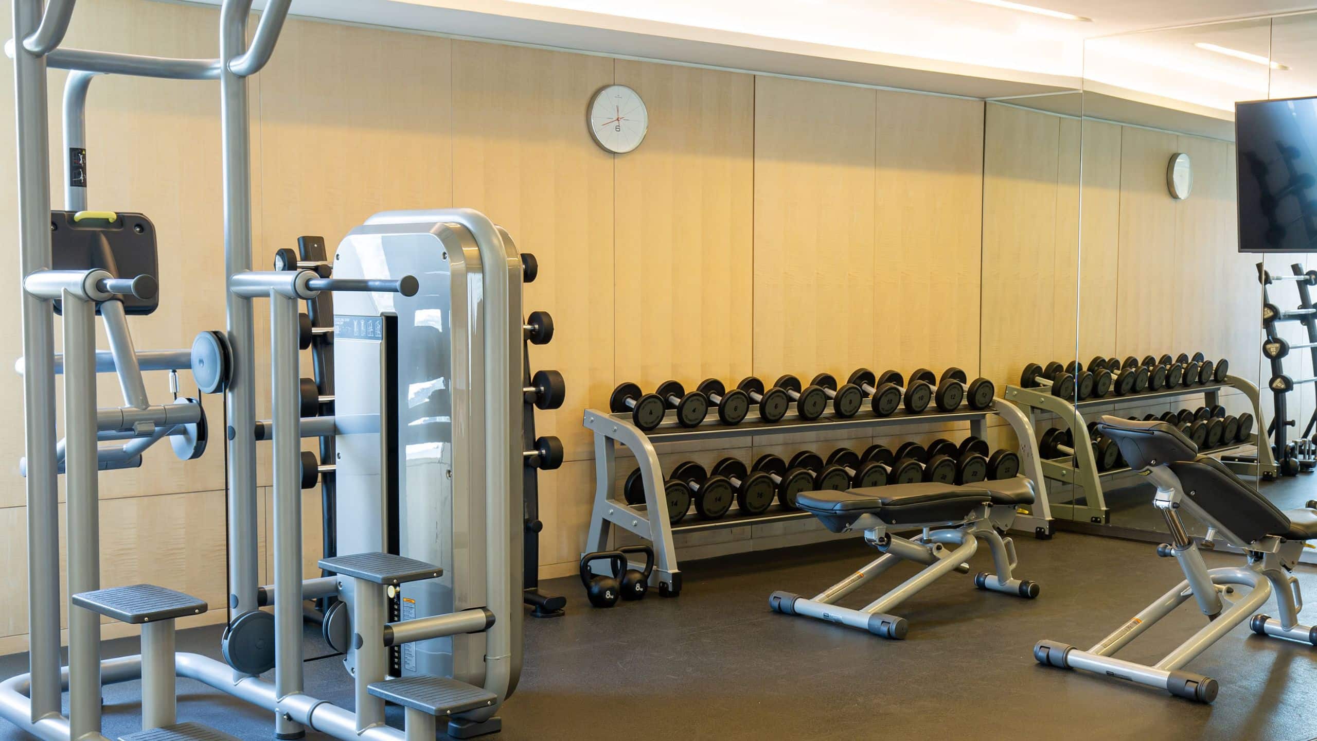 Park Hyatt Bangkok Fitness Center Weights