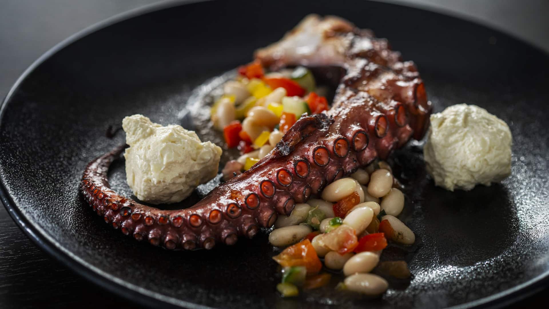 Hyatt House Lansing / University Area Toscana Octopus