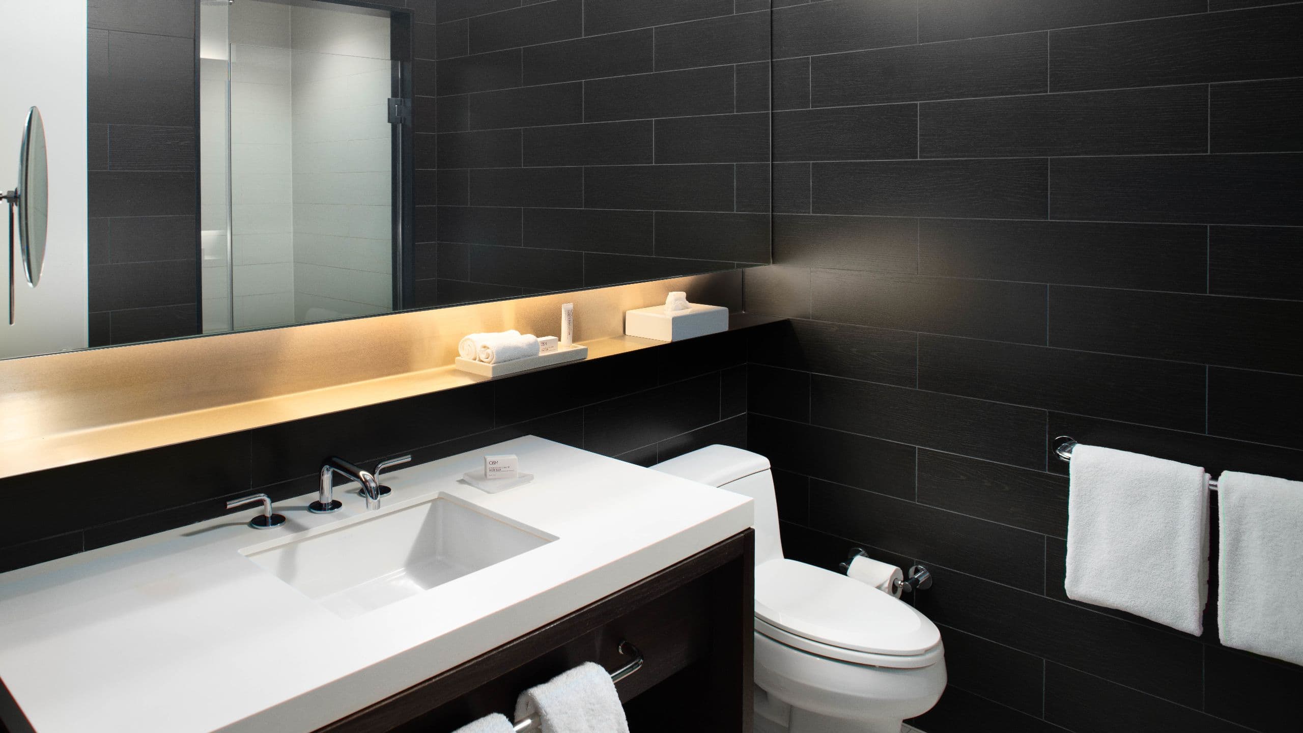 2 of 3 Hyatt Centric Times Square New York Standard Bathroom