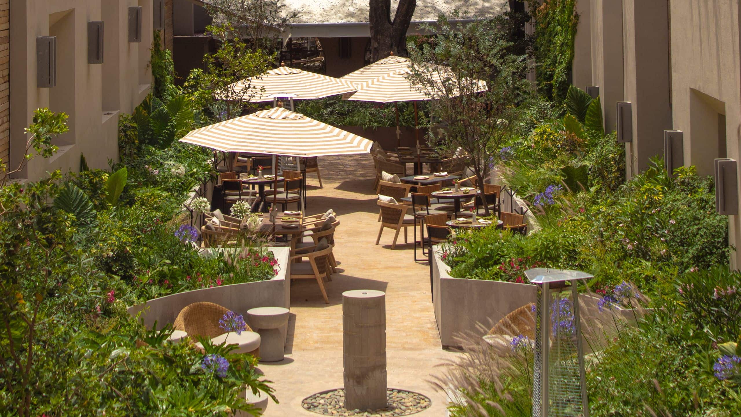 1 of 1 Numu Boutique Hotel San Miguel de Allende Patio Jacaranda View