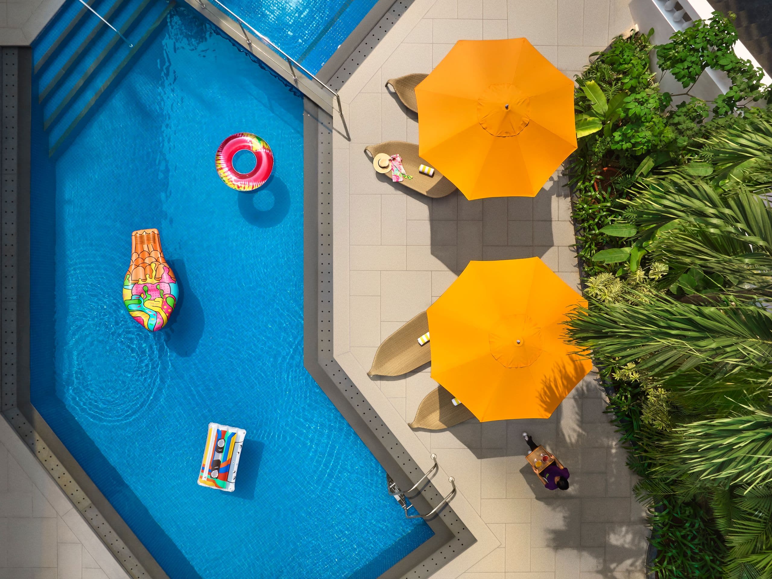 Ronil Goa Back Pool Top View