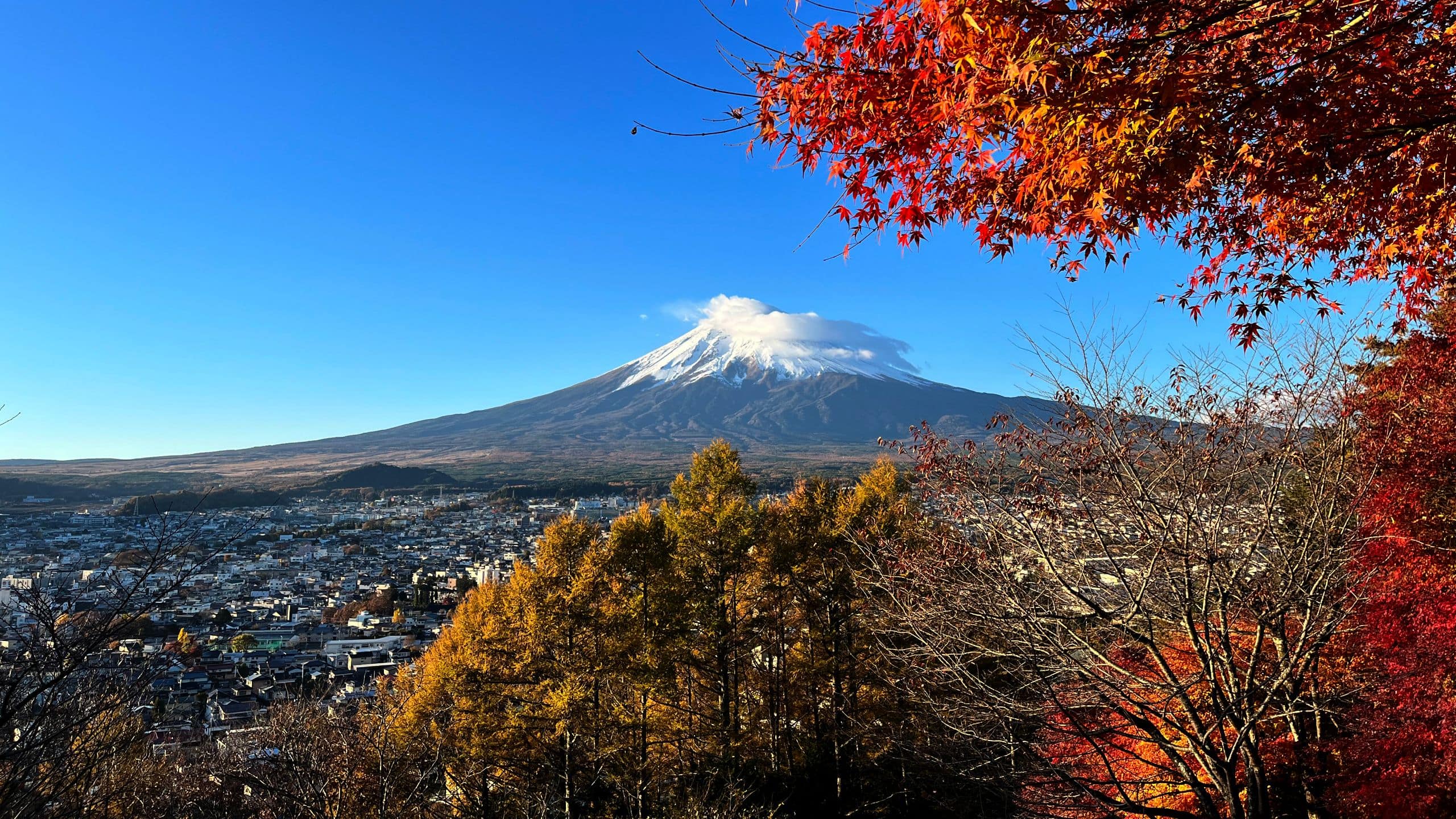 Fuji Speedway Hotel Autumn Mount Fuji Yamanashi City