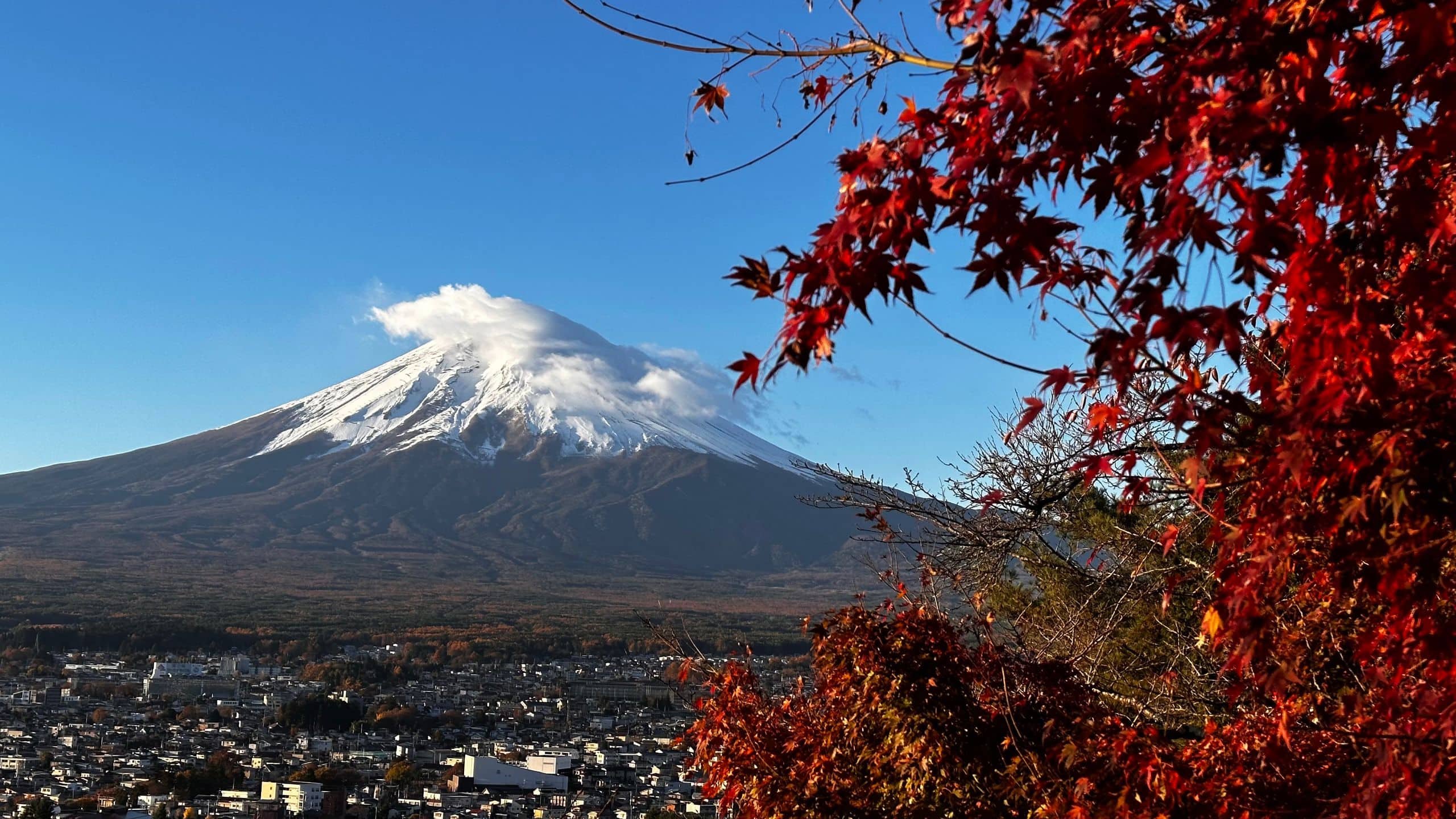 Fuji Speedway Hotel Autumn Mount Fuji Yamanashi Leaves On Side