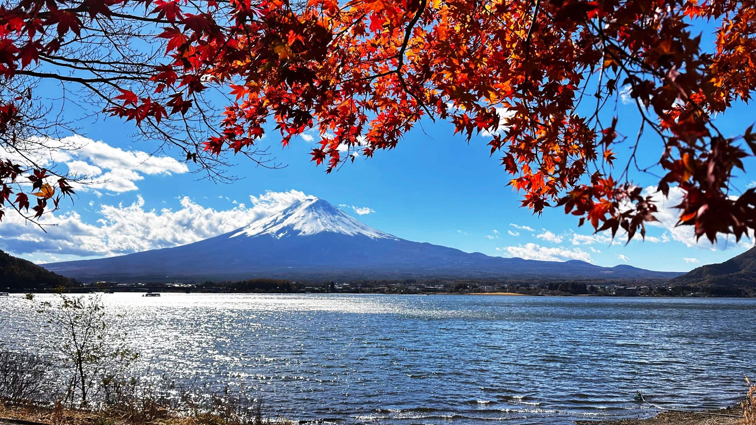 Fuji Speedway Hotel Kawaguchiko Mount Fuji Autumn
