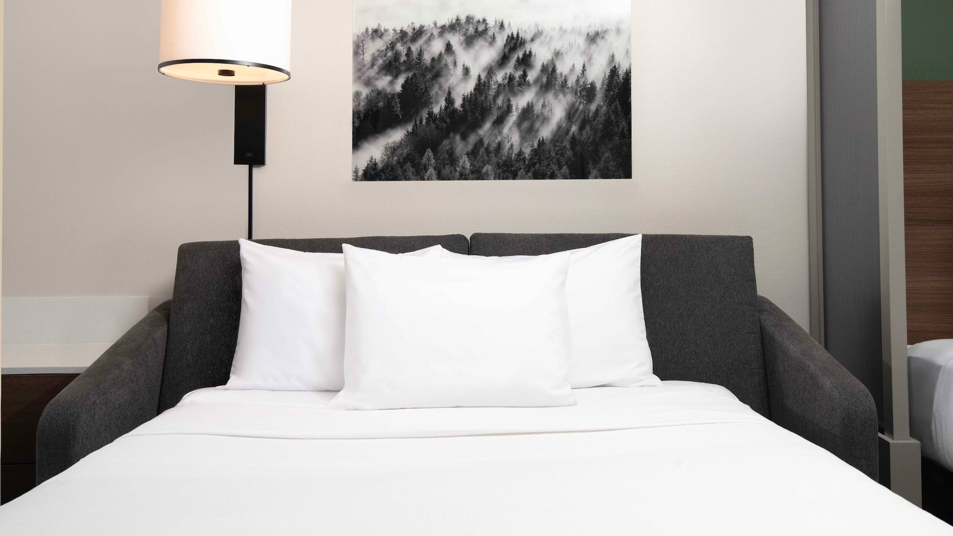 Hyatt Place Denver Tech Center Sofa Bed