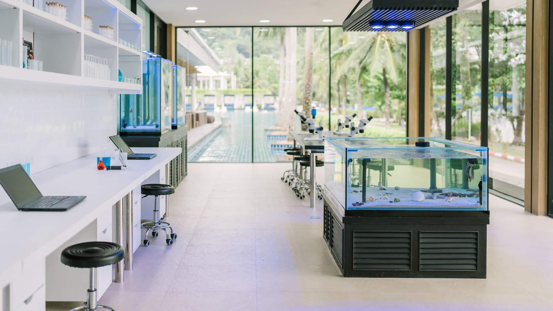 Hyatt Regency Phuket Resort Marine Biological Center With Pool View